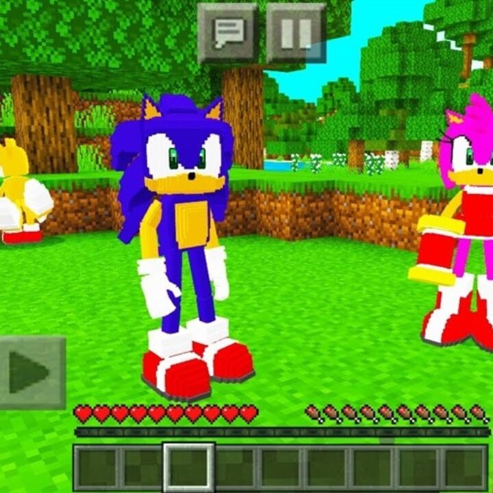 Sonic Mod for Minecraft PE