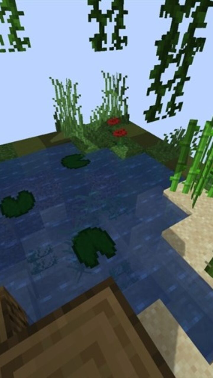 Nice location in Survival on a Single Block MCPE Map