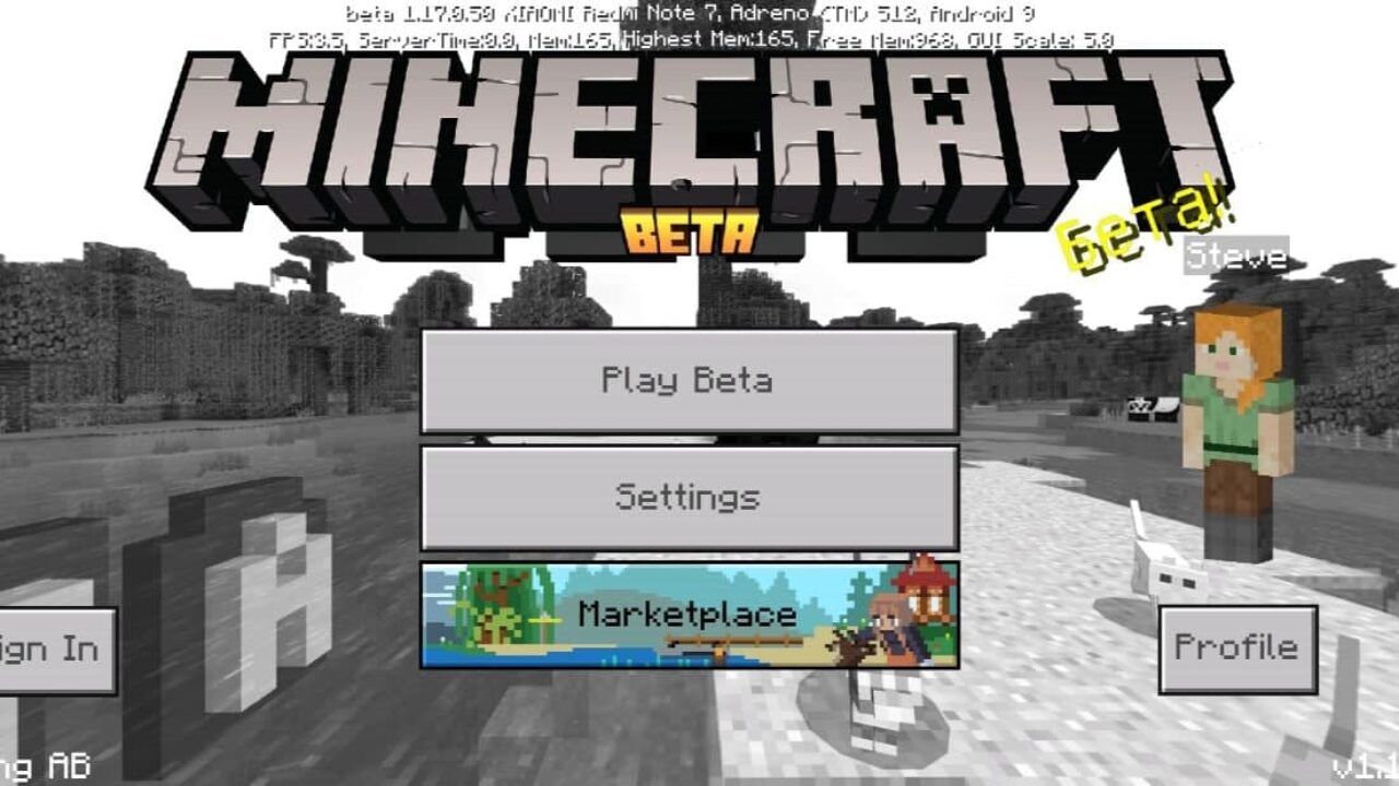 Minecraft PE 1.17.10.20