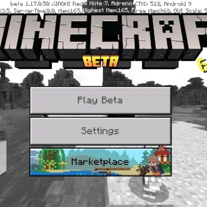 Minecraft PE 1.17.10.20