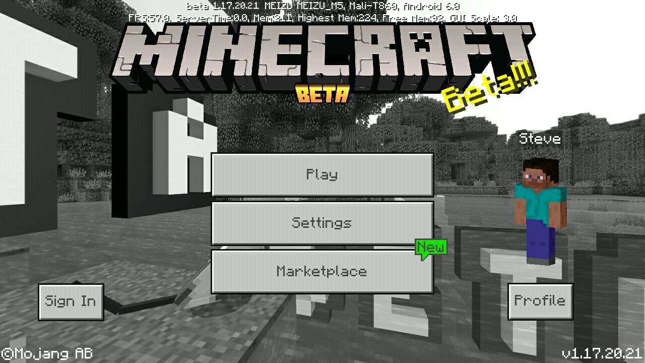 Minecraft 1.17.20.21