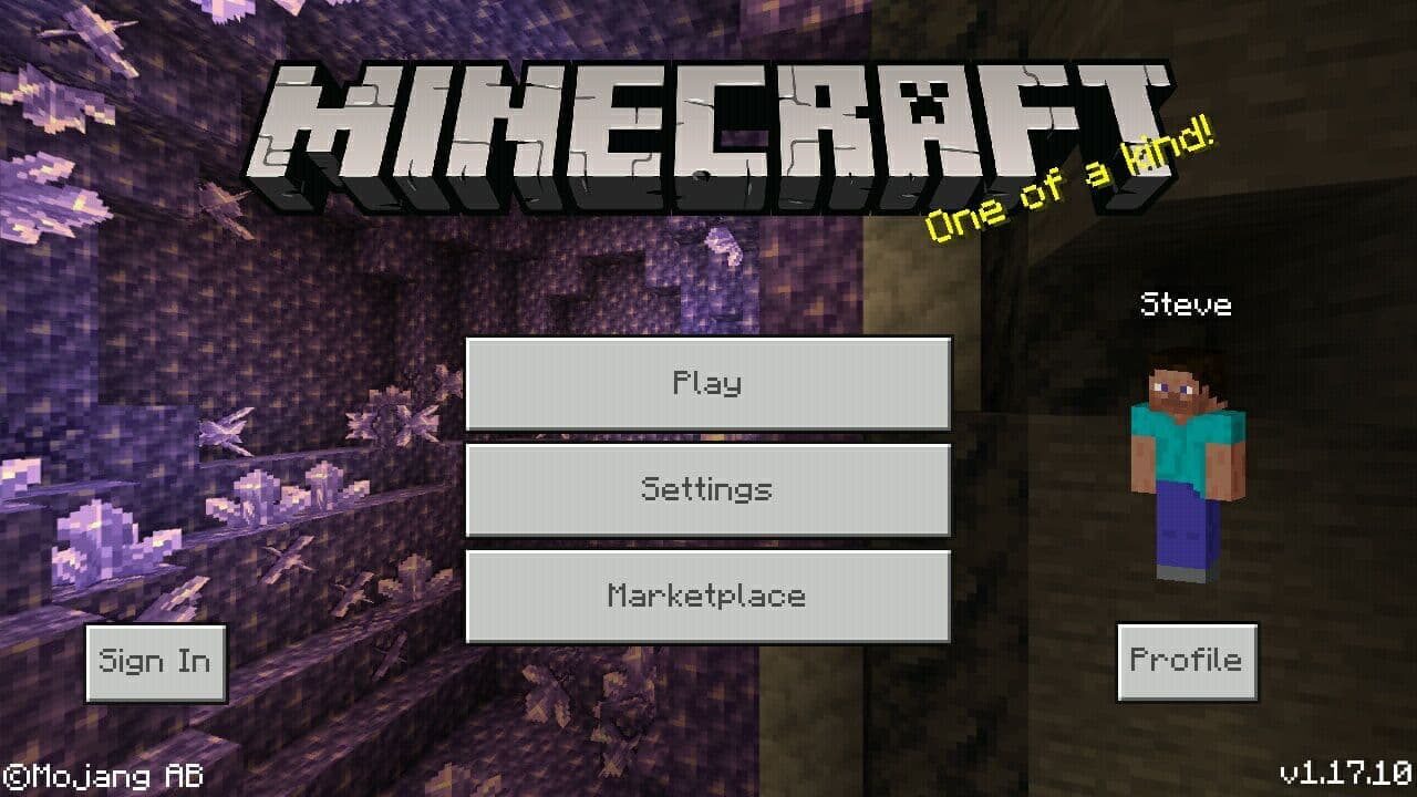 Minecraft 1.17.10