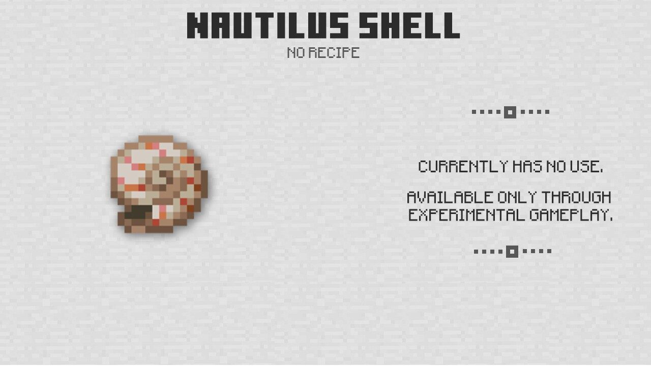 Nautilus Shell