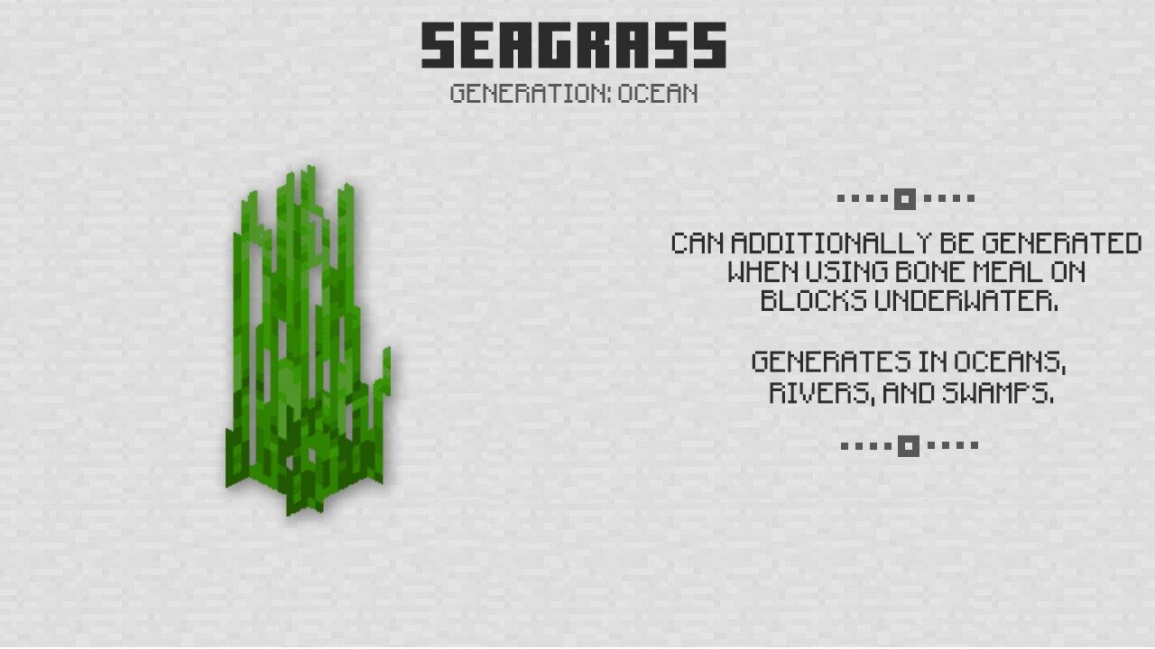 Seagrass