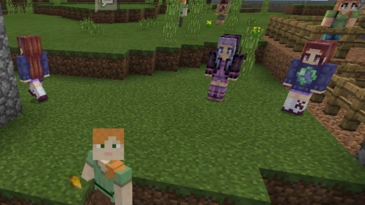 Steve and Girls from Girlfriends Mod for Minecraft PE