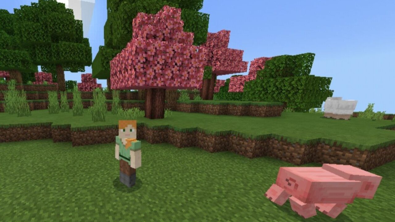 Dark Cherry Blossom Texture from Pink for Minecraft PE