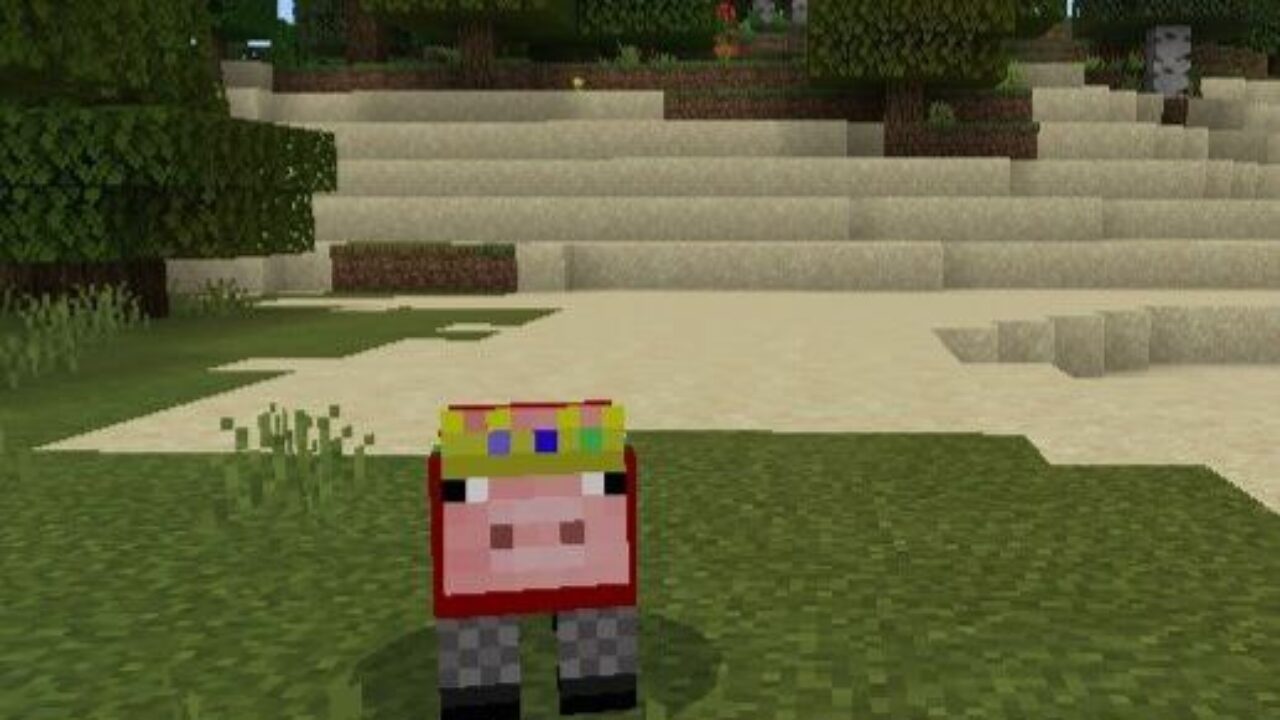 Pig from Technoblade Texture Pack for Minecraft PE