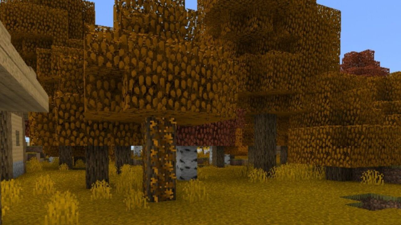 Trees from Autumn Texture Pack for Minecraft PE