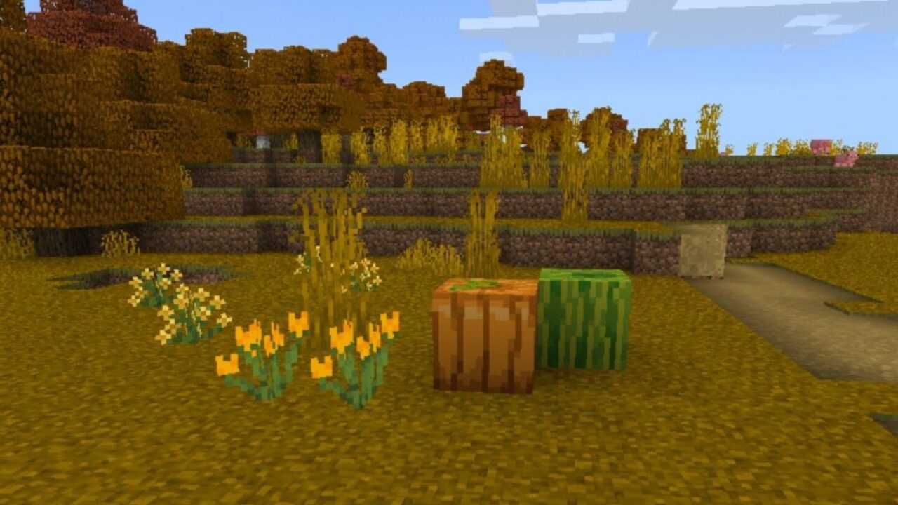 Autumn Texture Pack for Minecraft PE