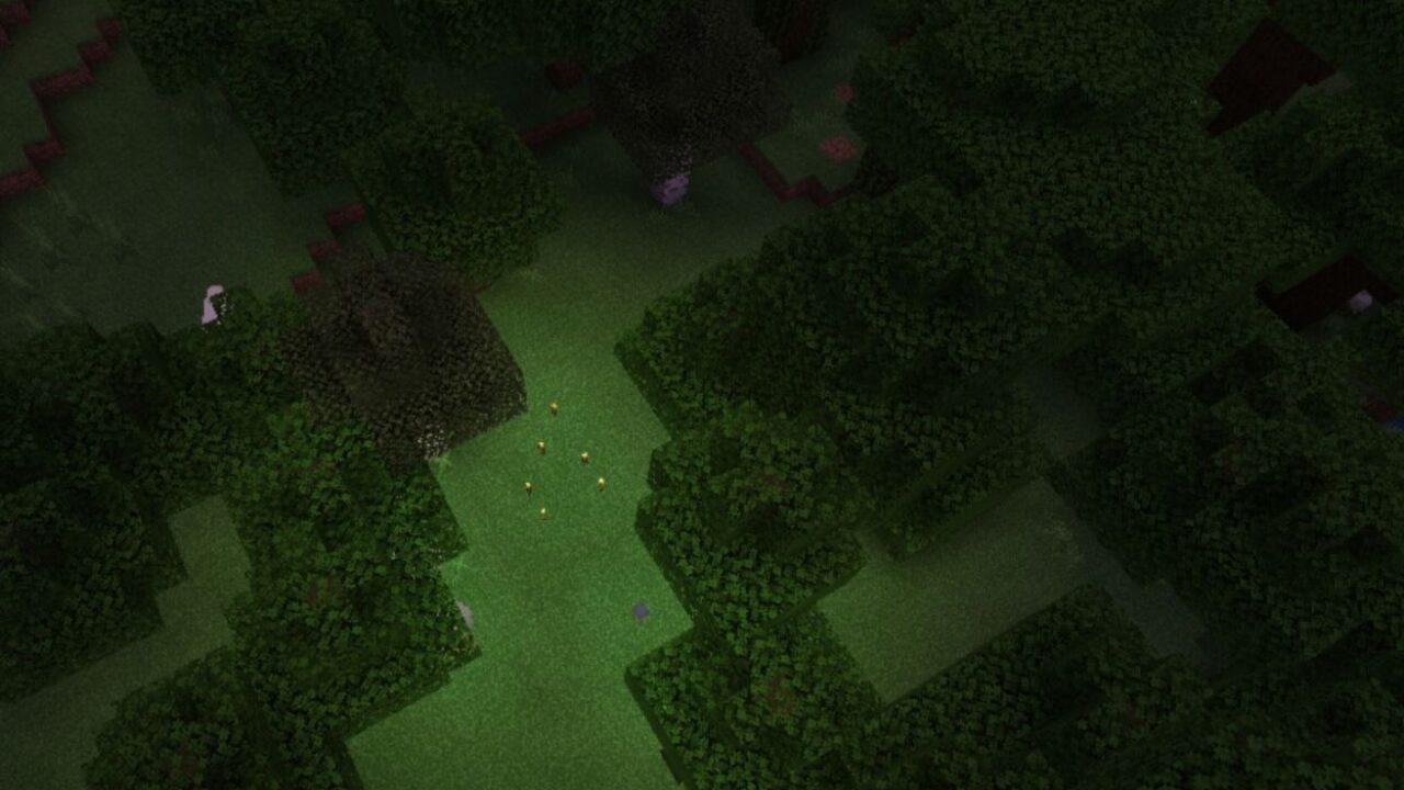 Green color from Light Shaders for Minecraft PE