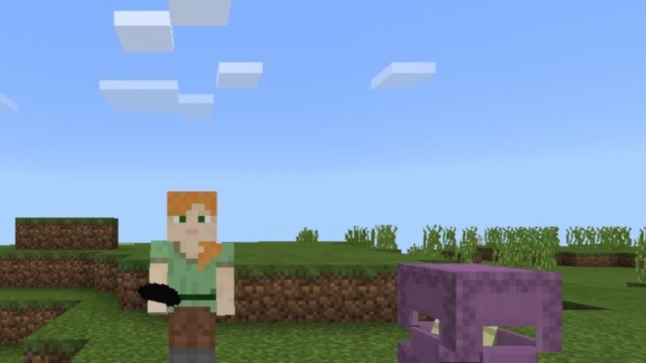 Steve and Block from Purpled Texture Pack for Minecraft PE