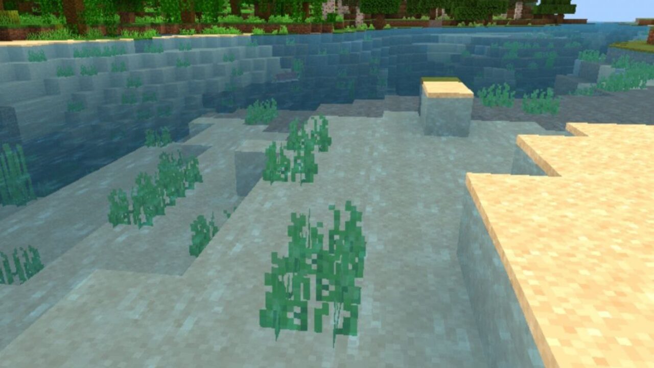 Water from Sildurs Basic Shader for Minecraft PE