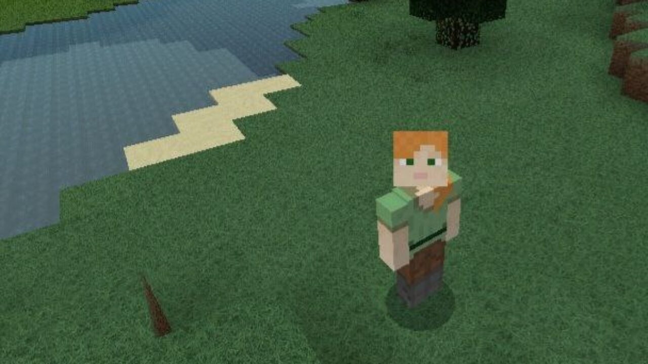 Steve and Grass from Parallax Texture Pack for Minecraft PE