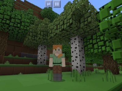 Plastic Texture Pack for Minecraft PE