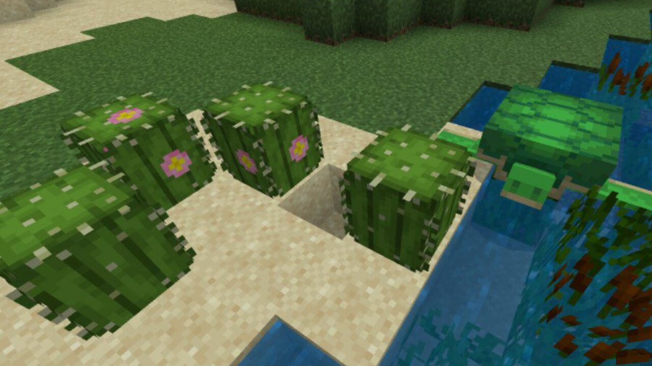 Сactuses from Better Foliage Texture Pack for Minecraft PE