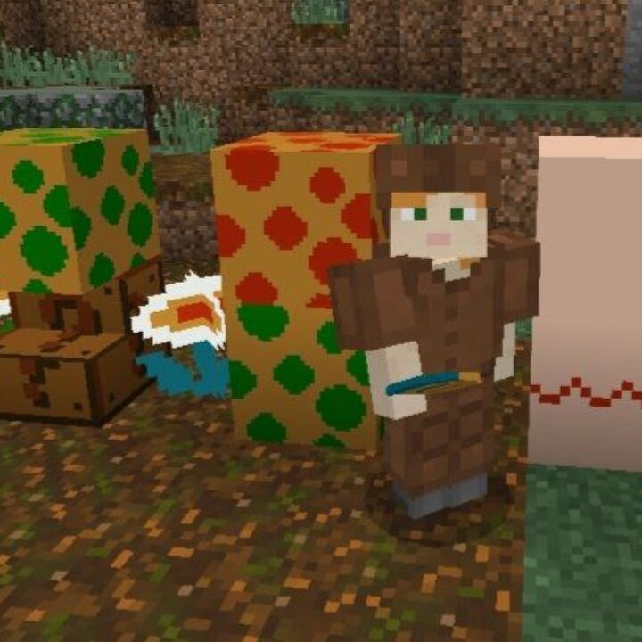 Super Mario Texture Pack for Minecraft PE