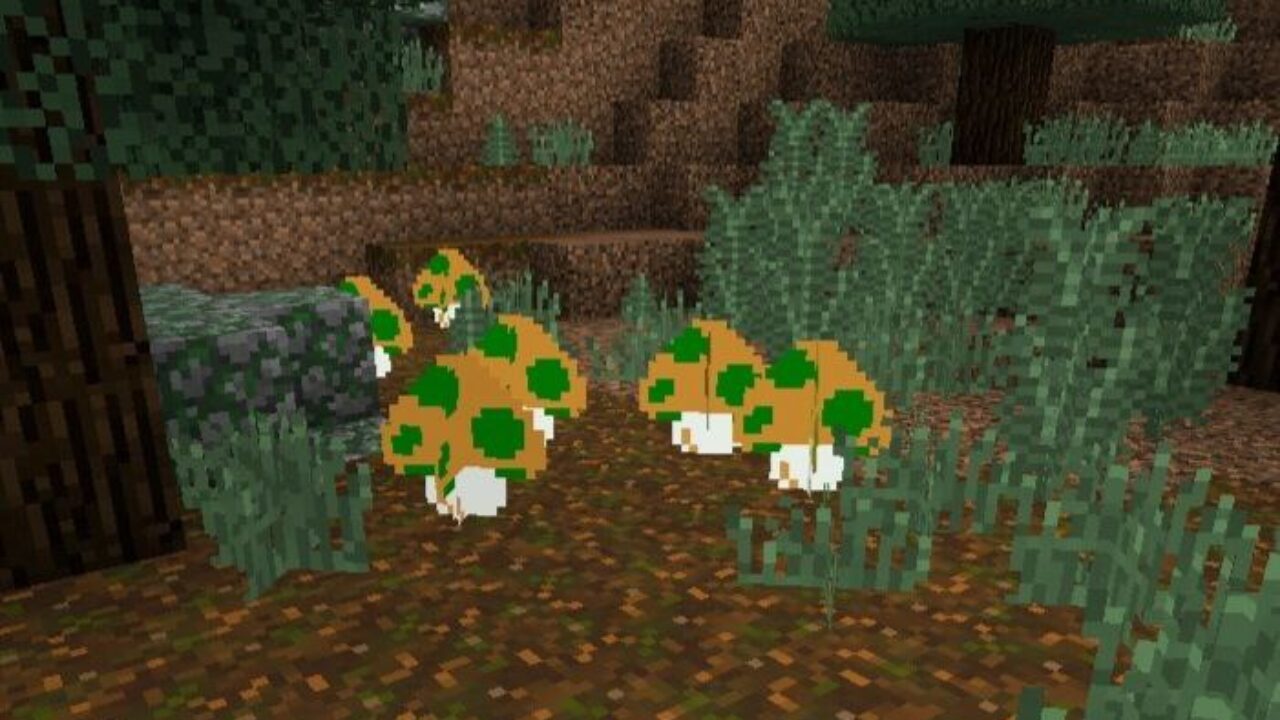 Mushrooms from Super Mario Texture Pack for Minecraft PE