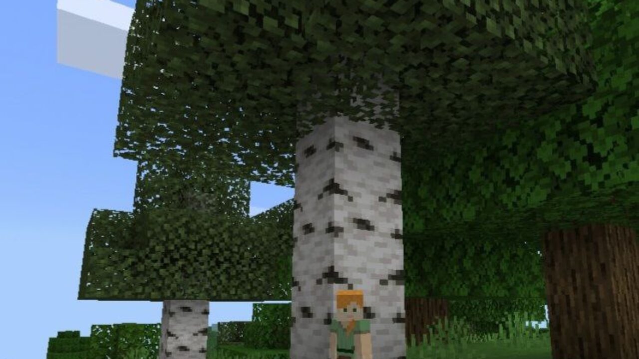 Tree from Shrink Mod for Minecraft PE