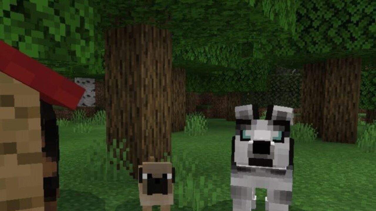 Dogs from Inventory Pets for Minecraft PE