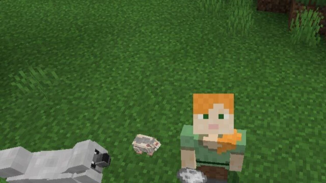 Pudel from Inventory Pets for Minecraft PE