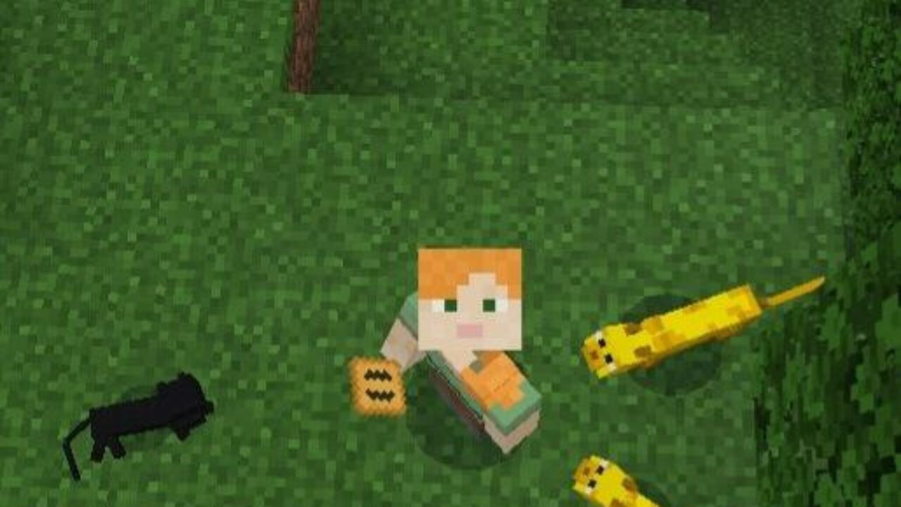 Steve and Cats from Cats Mod for Minecraft PE