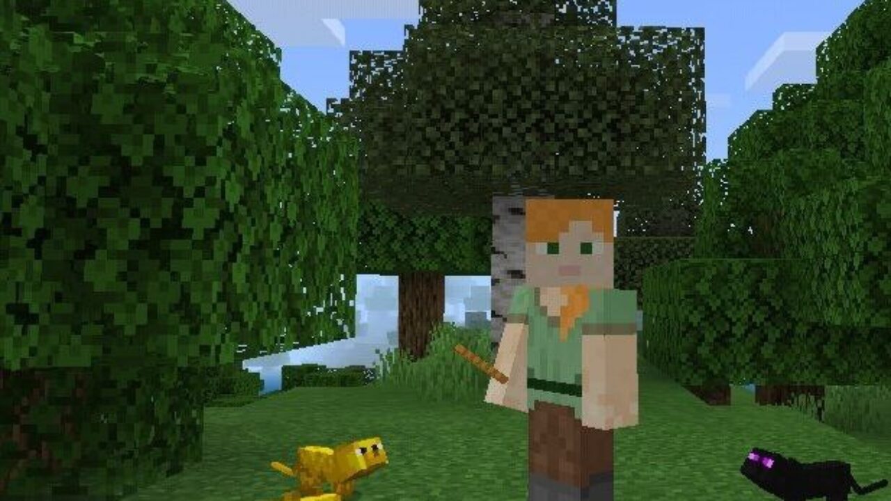 Yellow Cat from Cats Mod for Minecraft PE