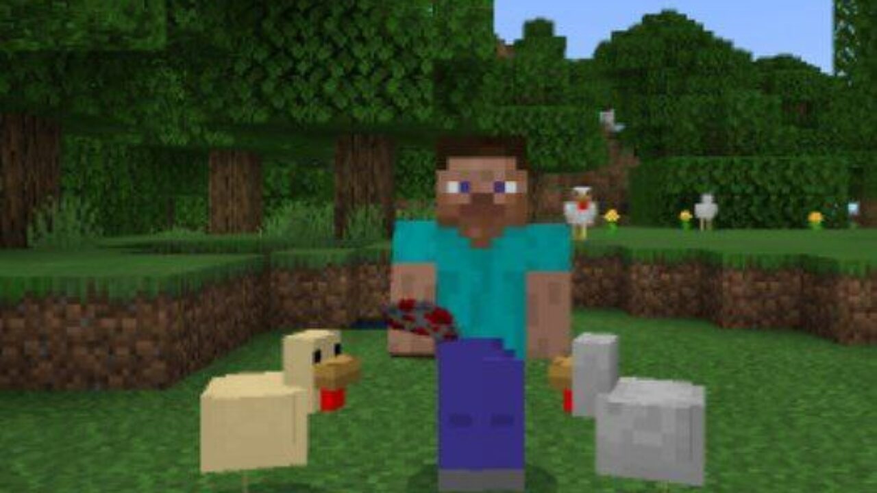 Chicken Mod for Minecraft PE