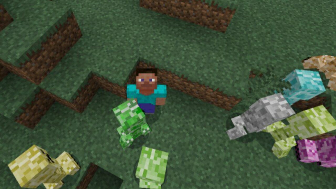 Steve and Different Creepers from Creeper Texture Pack for Minecraft PE