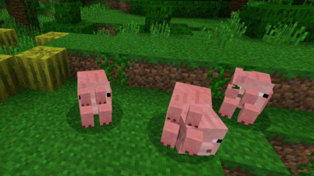 Animals from X-Ray Texture Pack for Minecraft PE