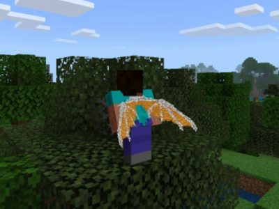 Elytra Texture Pack for Minecraft PE