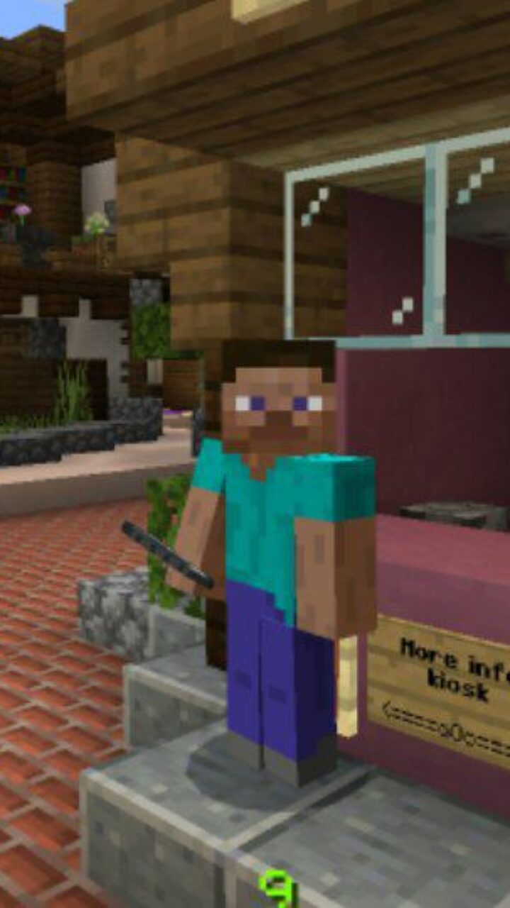 Steve and Information from Disneyland Map for Minecraft PE