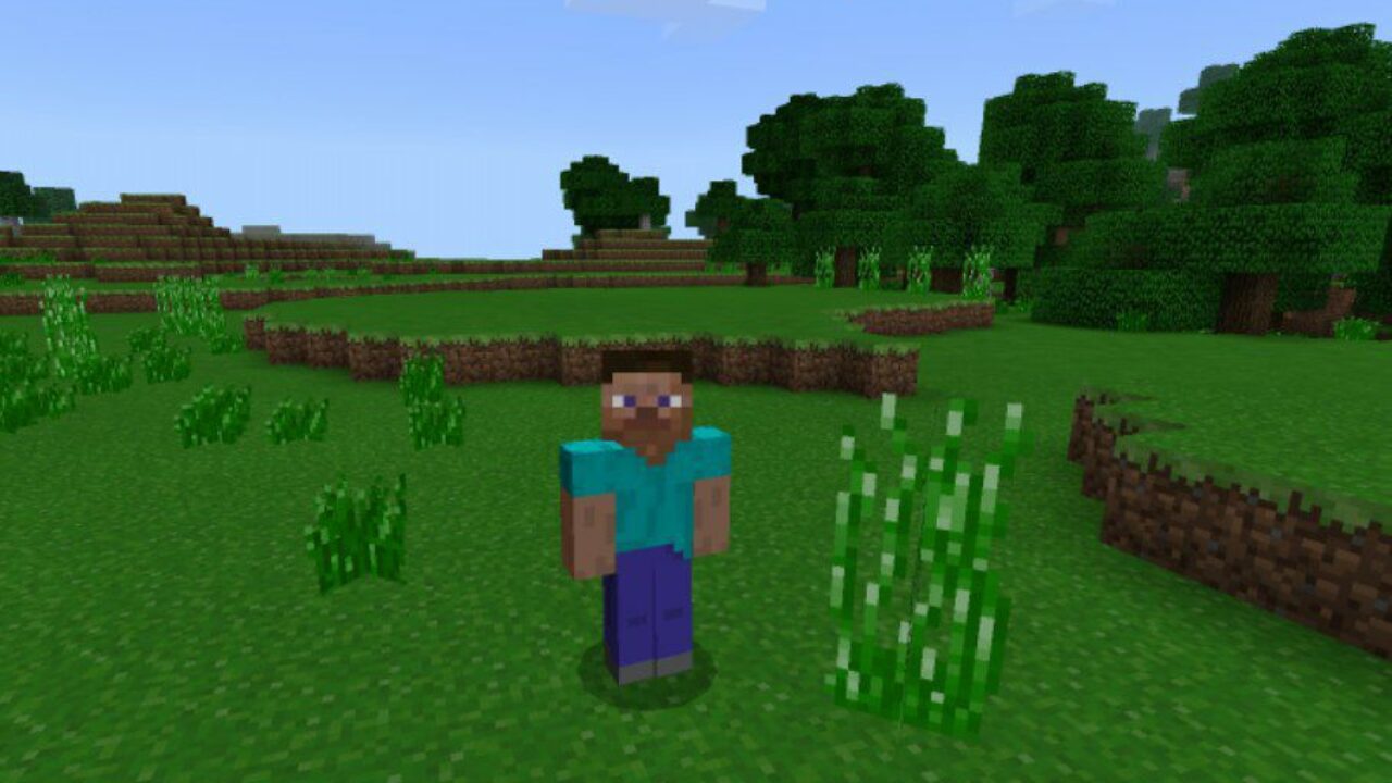 Old Texture Pack for Minecraft PE