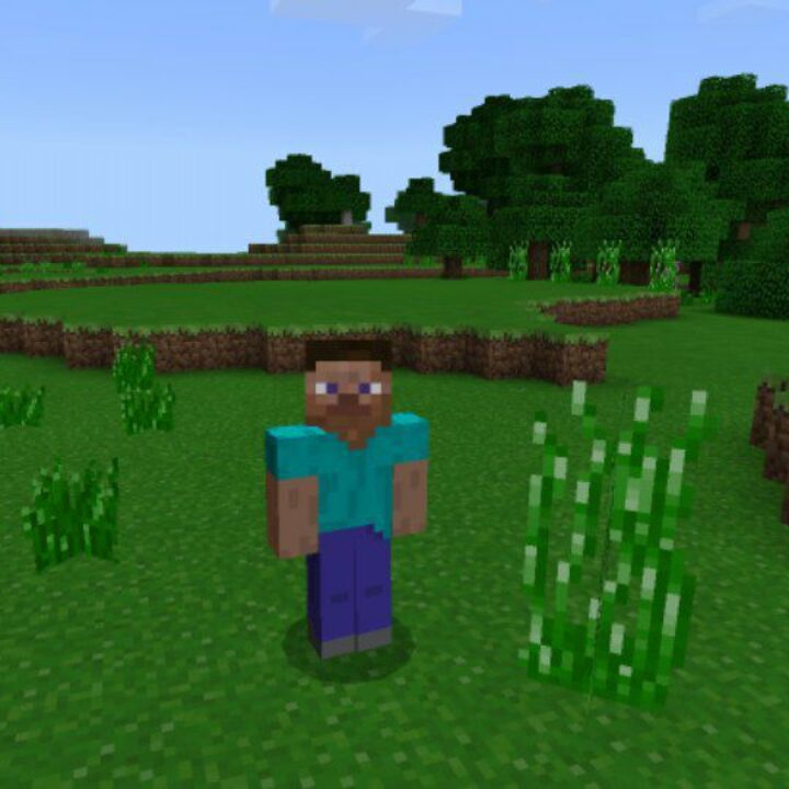 Old Texture Pack for Minecraft PE