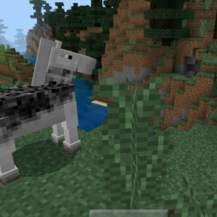 Horse Texture Pack for Minecraft PE