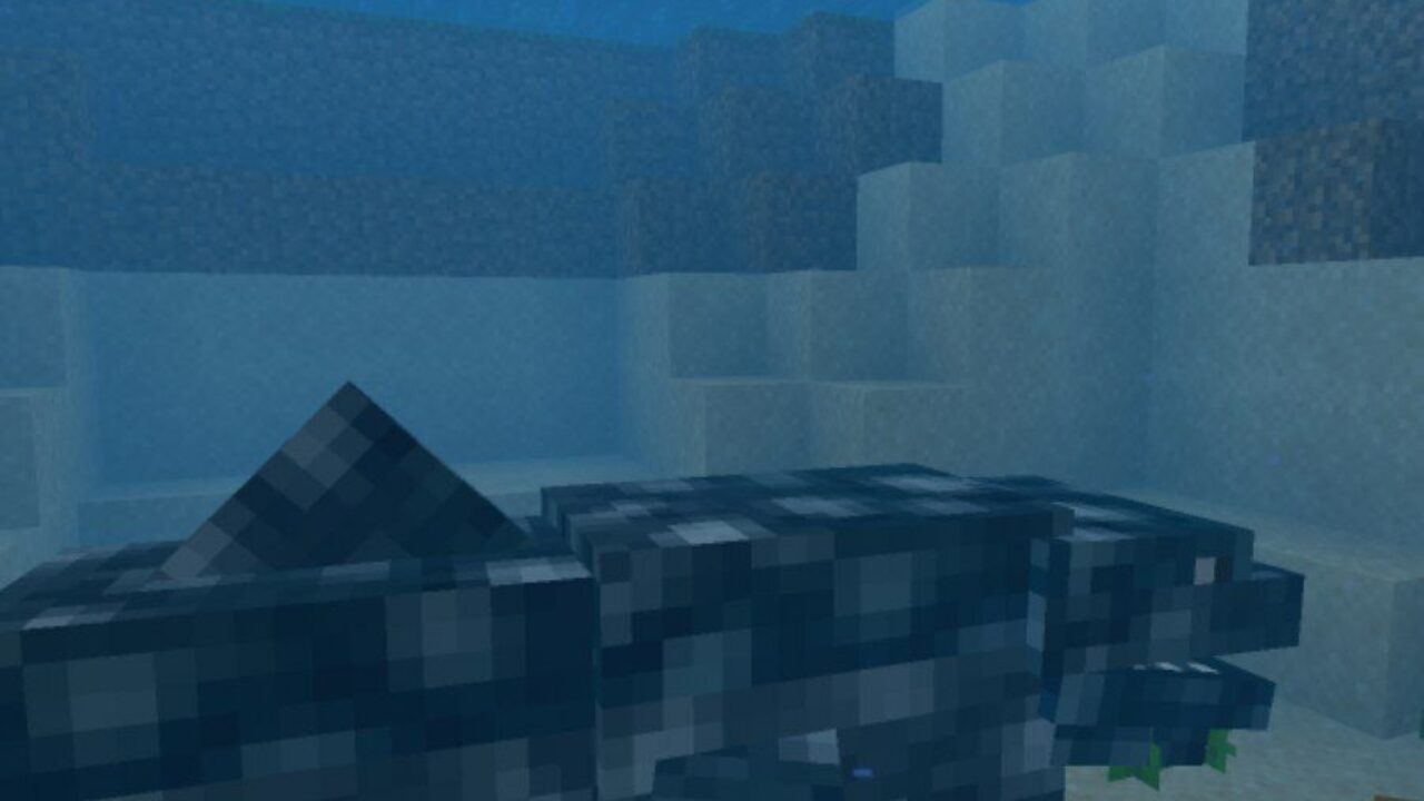 Tiger Shark from Whale Mod for Minecraft PE