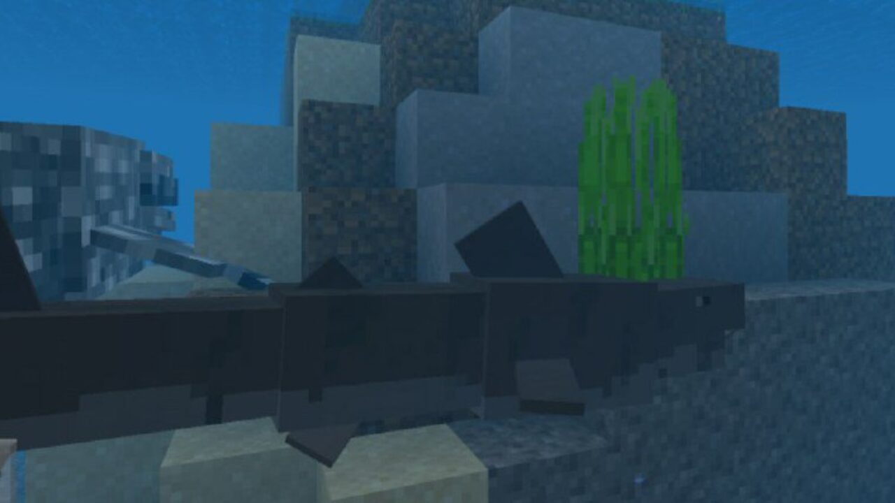 Whale Shark from Whale Mod for Minecraft PE