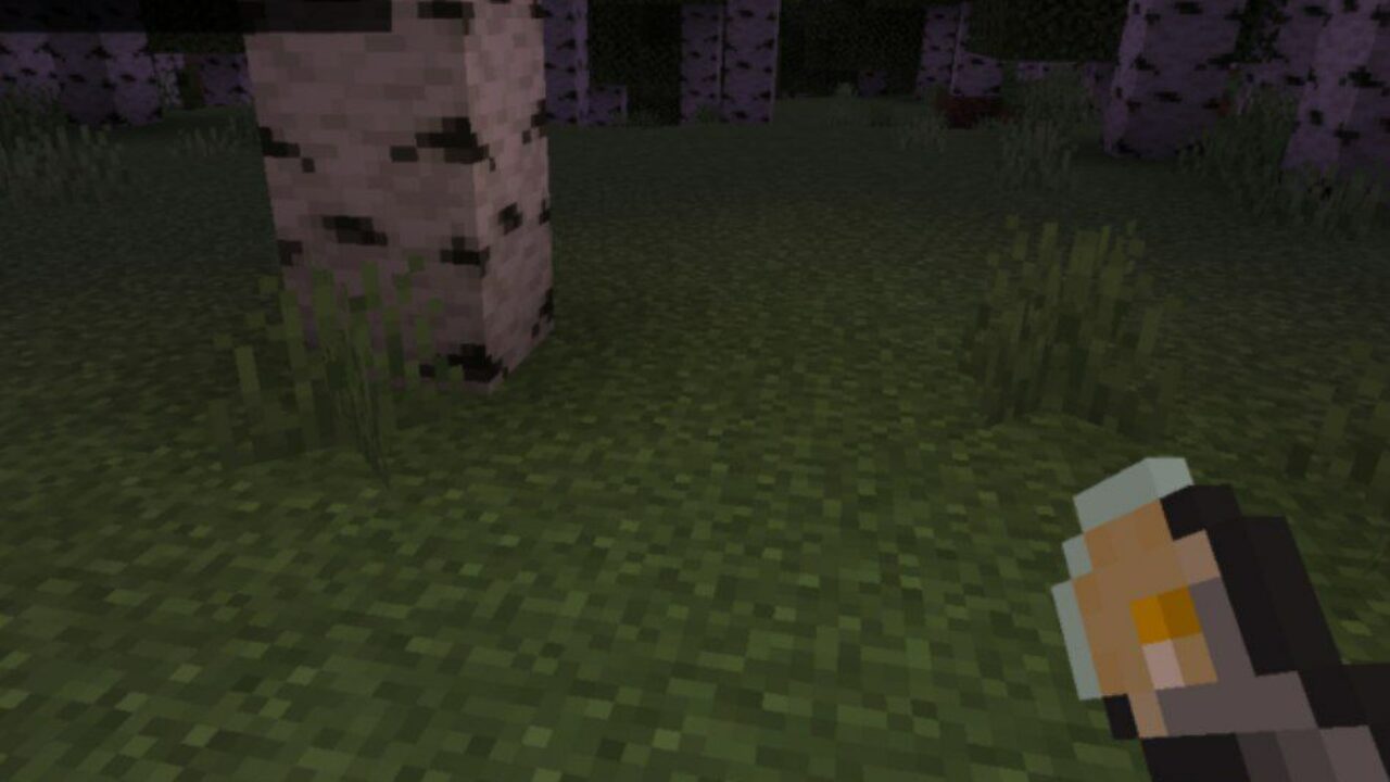 New Features from Flashlight Mod for Minecraft PE