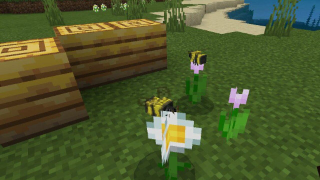 Cute Bees from Bee Texture Pack for Minecraft PE