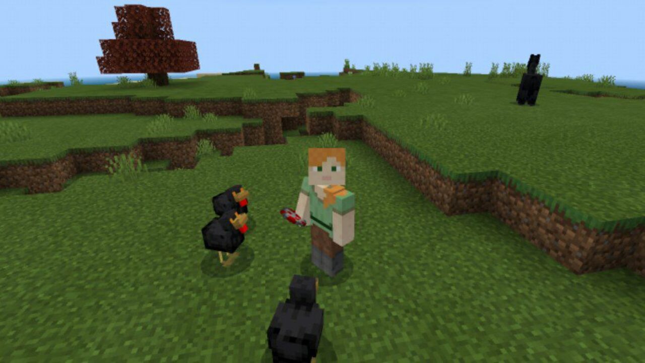 Chickens from Halloween Texture Pack for Minecraft PE