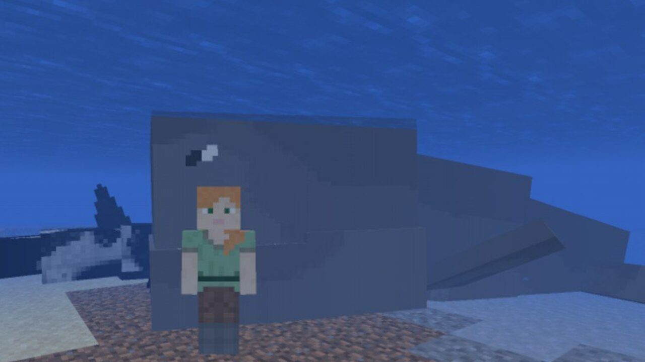 Steve and Sperm Whale from Whale Mod for Minecraft PE