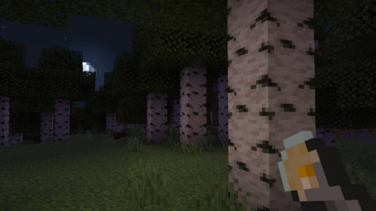 Forest at Night from Flashlight Mod for Minecraft PE