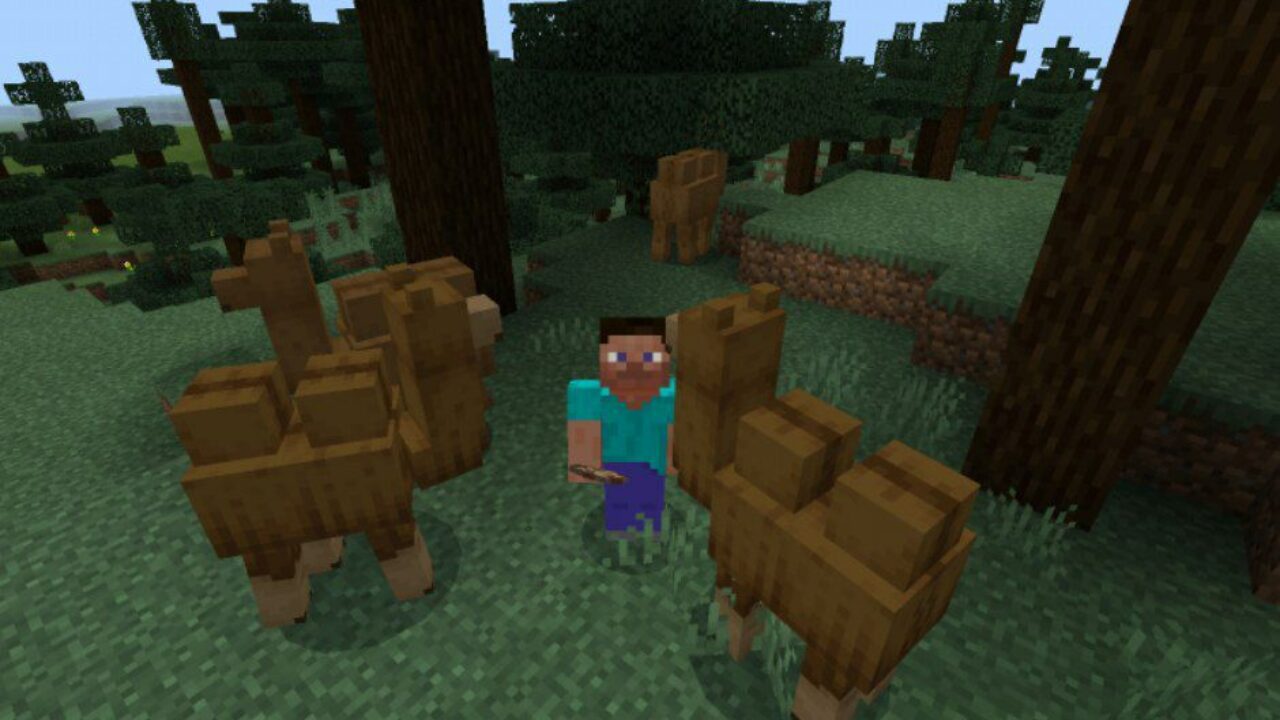 Camel Mod for Minecraft PE