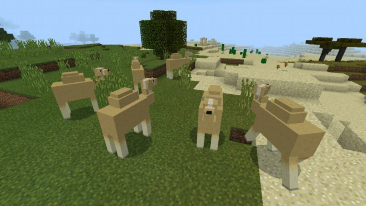 New Animals from Camel Mod for Minecraft PE