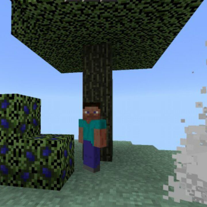 Aether Mod for Minecraft PE