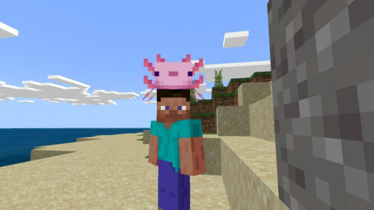 Axolotl from Hat Mod for Minecraft PE