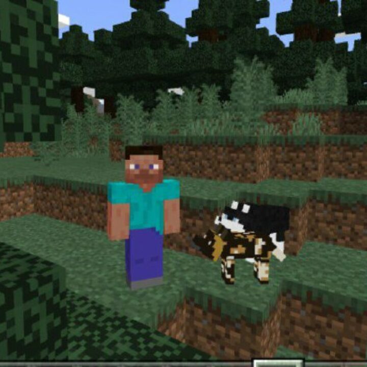 Dogs Mod for Minecraft PE