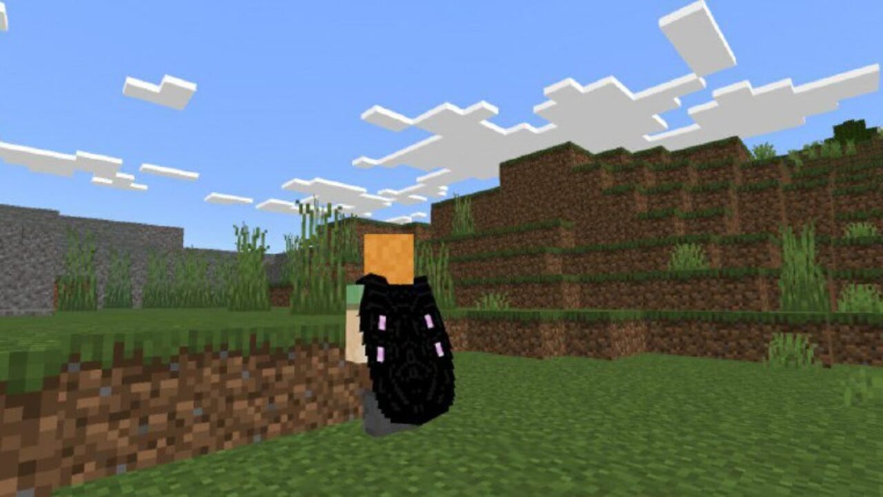 Enderman Wings from Fly Mod for Minecraft PE