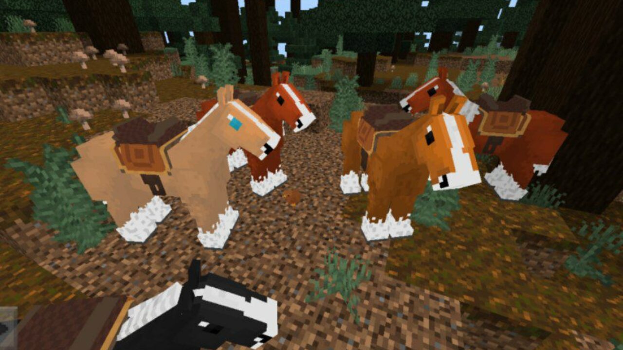 New Animals from Horse Mod for Minecraft PE