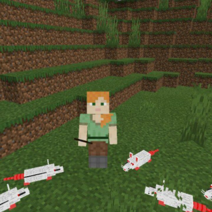 Rats Mod for Minecraft PE