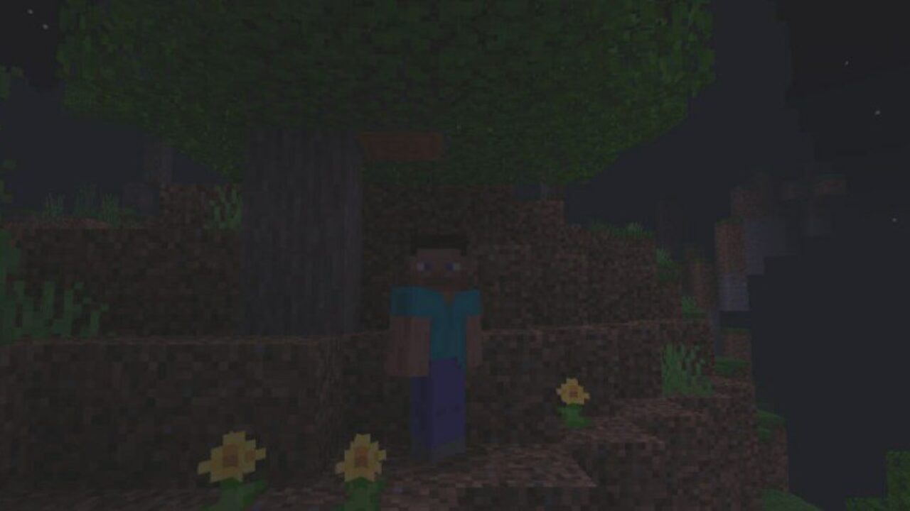 At Night from Sodium Mod for Minecraft PE